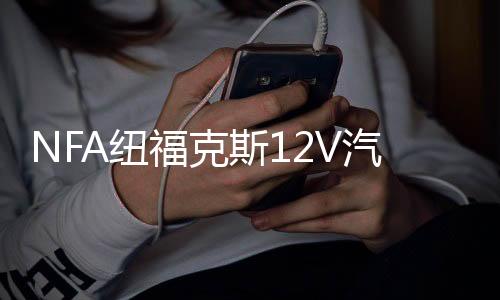 NFA纽福克斯12V汽车电瓶充电器大功率充满自停25A蓄电池充电机